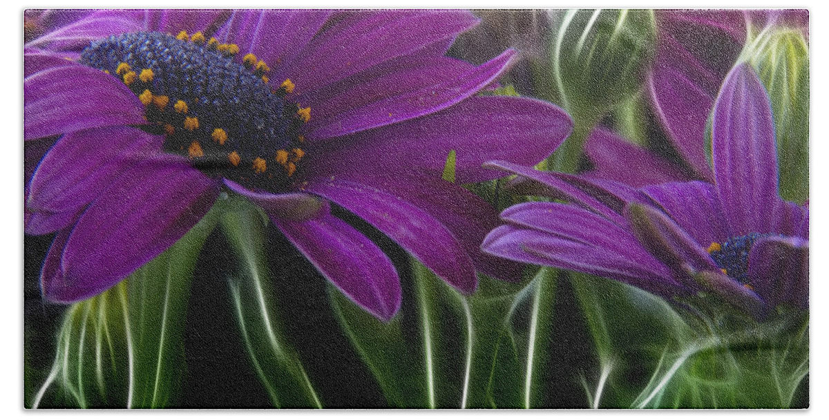 Abstract Beach Towel featuring the photograph Purple Daisy by Stelios Kleanthous