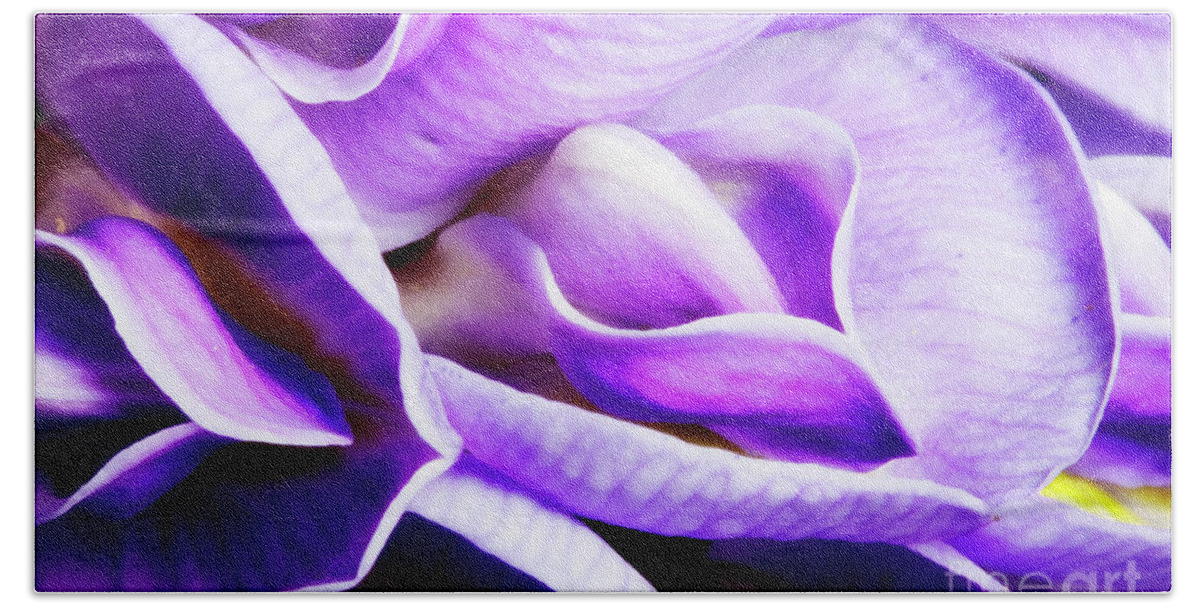 Macro Photography Beach Towel featuring the photograph Purple Wisteria Fower by Keith Kapple