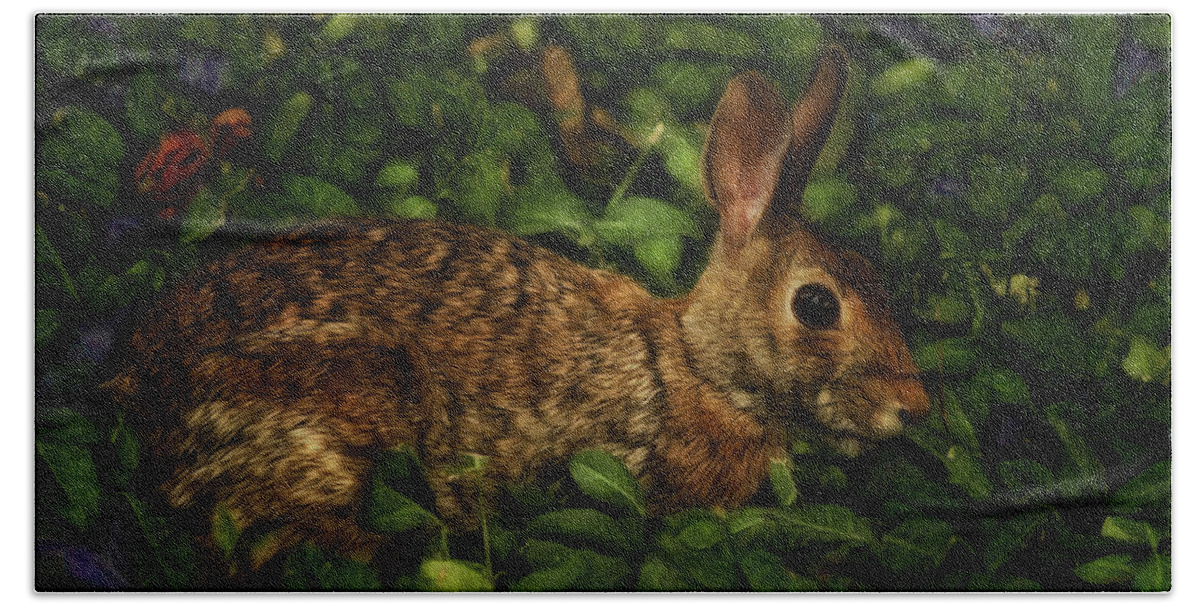 Nature Beach Towel featuring the photograph Rabbit by Linda Tiepelman