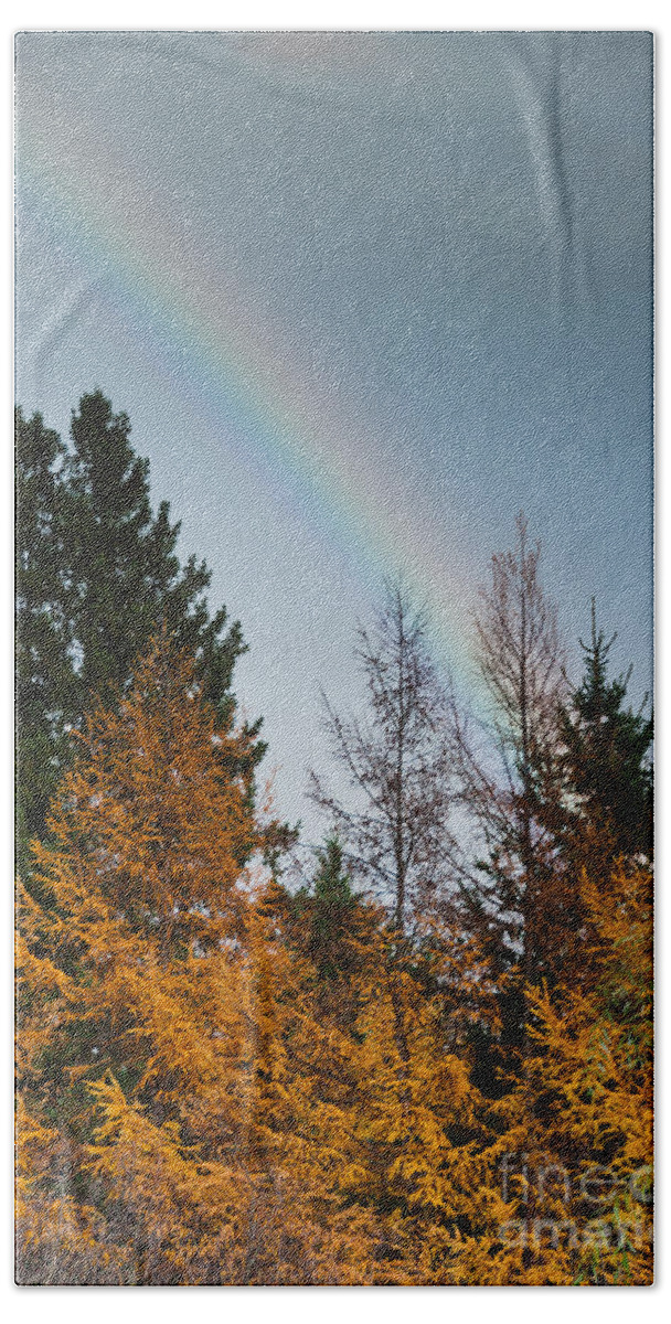 Rainbow Beach Towel featuring the photograph Rainbow Forest by Cheryl Baxter