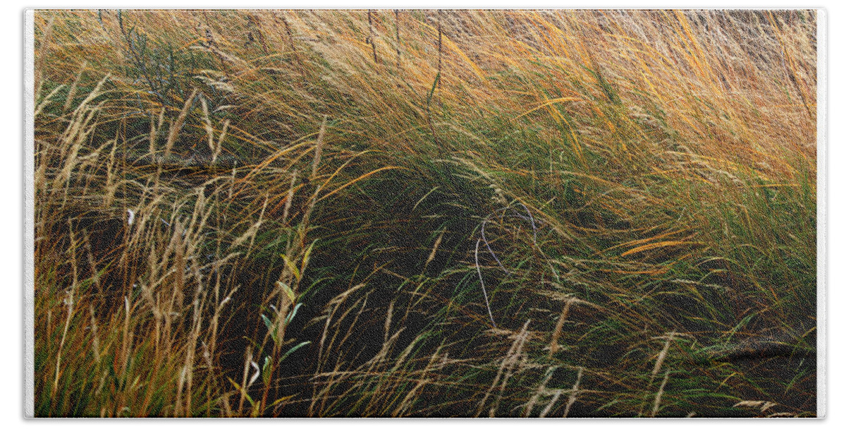 Grass Beach Towel featuring the photograph Rainbow of Grass by Mark Ivins