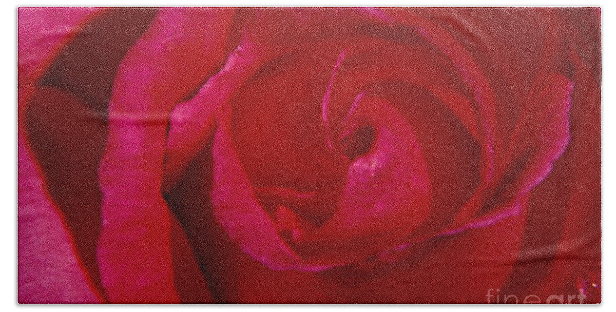 Floral Beach Towel featuring the photograph Red Rose by Mark Gilman