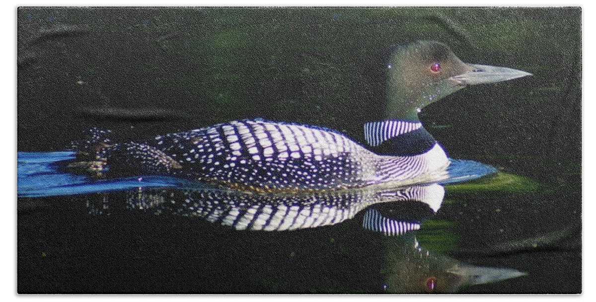 Loon Beach Sheet featuring the photograph Reflections by Steven Clipperton