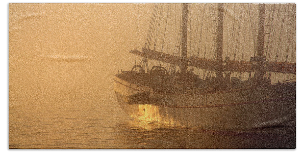 Sunrise Beach Towel featuring the photograph Resting in the morning sun by Brian Pflanz