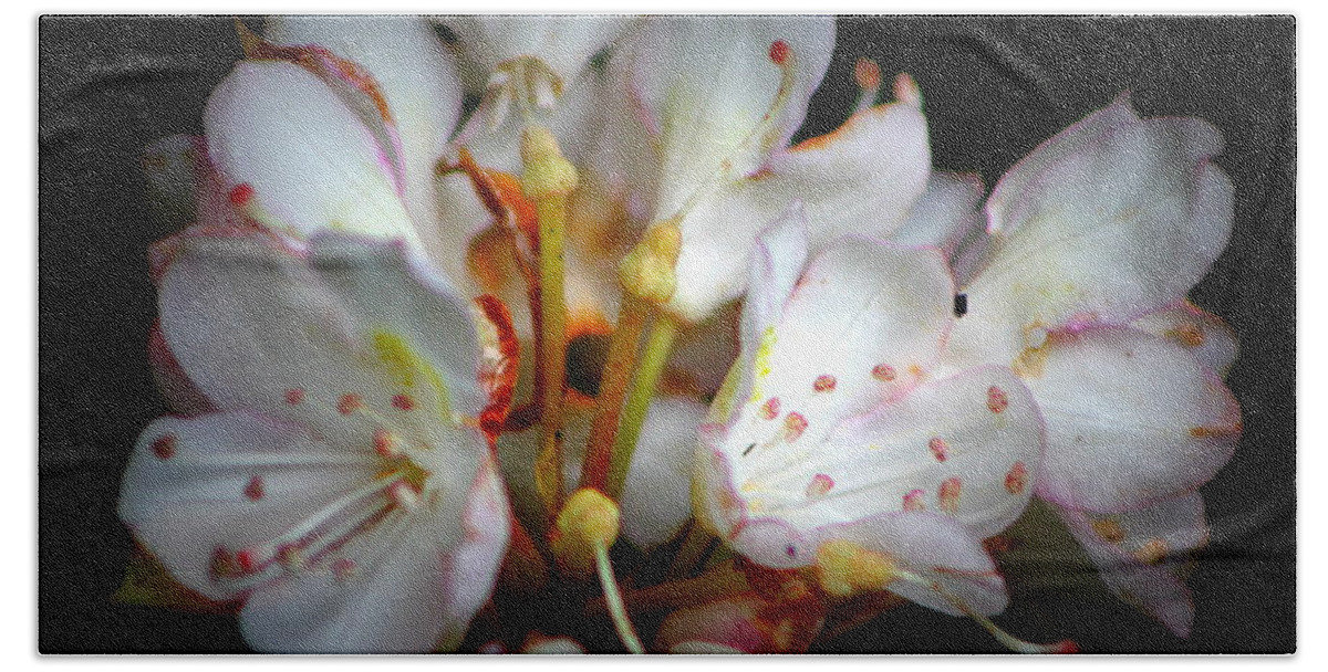 Rhododendron Beach Towel featuring the photograph Rhododendron Explosion by Deborah Crew-Johnson