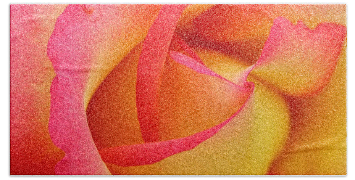 Floral Beach Sheet featuring the photograph Rose 3 by Mark Gilman