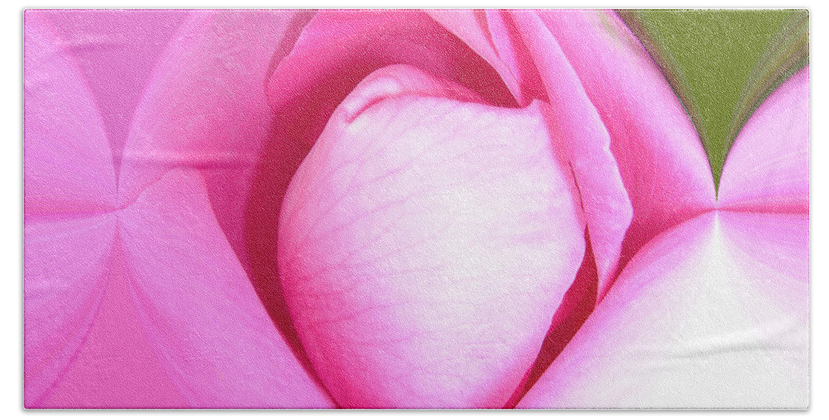 Floral Beach Sheet featuring the photograph Rose1 by Mark Gilman