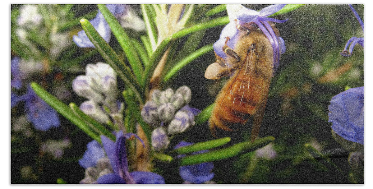 Bee Beach Towel featuring the photograph Rosemary Honeybee by Joyce Dickens