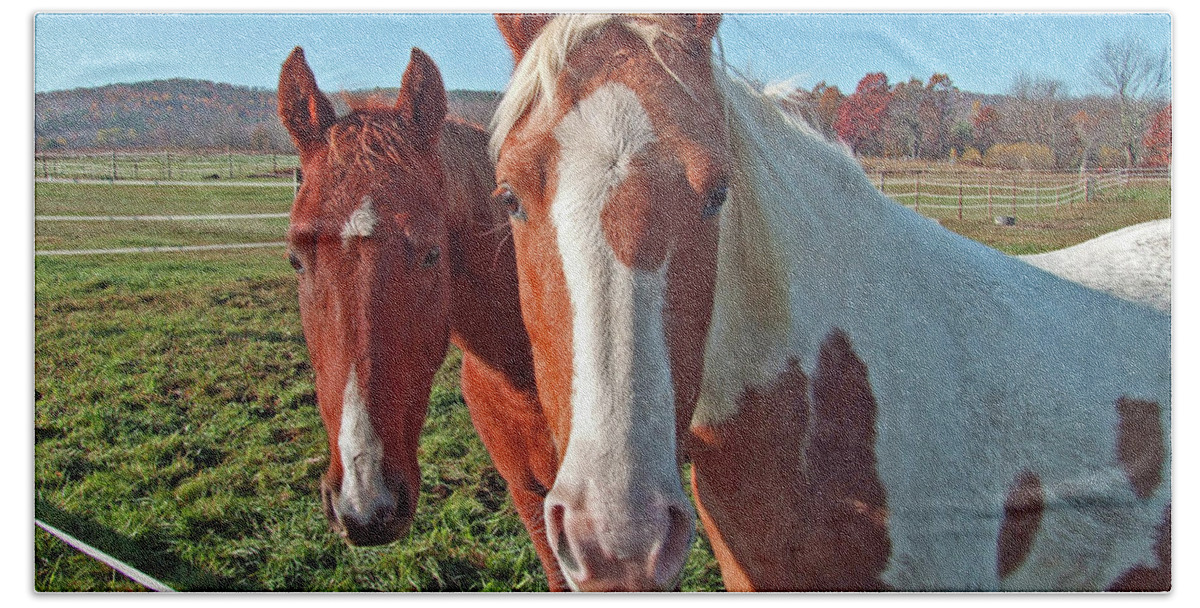Horses Beach Sheet featuring the photograph Ruff 'n Reddy by S Paul Sahm