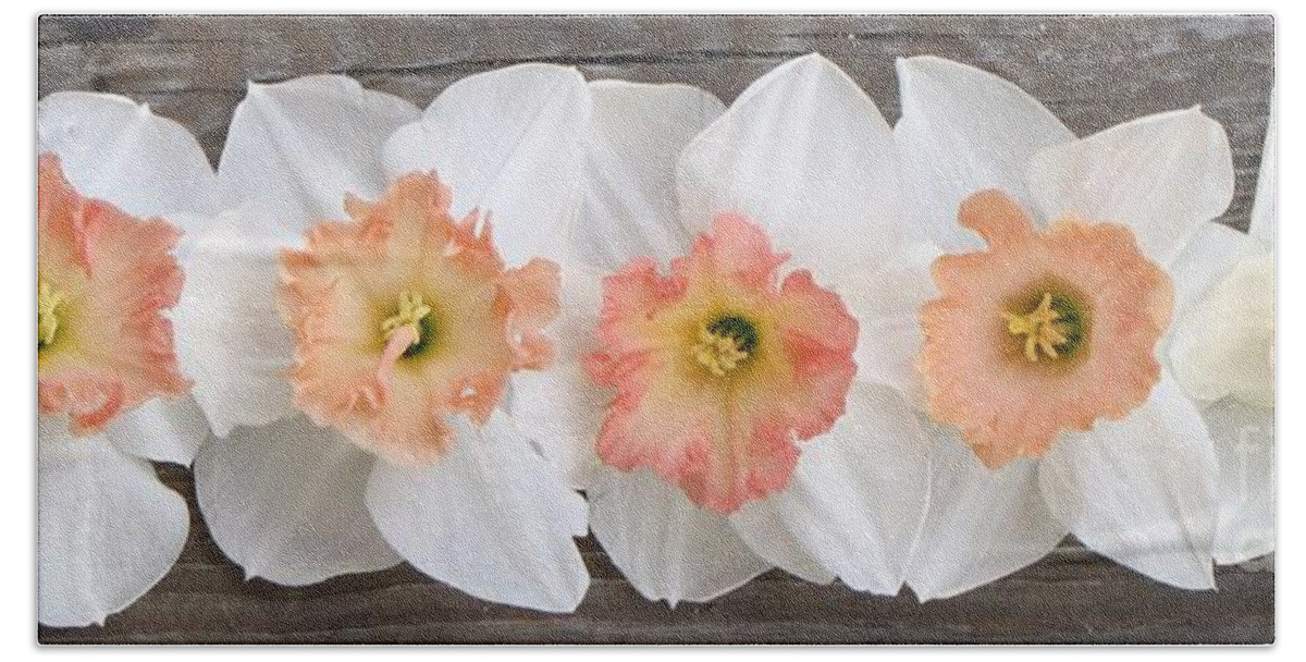 Pink Daffodils Beach Towel featuring the photograph Shades of Pink by Michele Penner