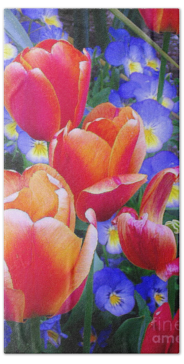 Tulips Beach Towel featuring the photograph Shining Bright by Rory Siegel