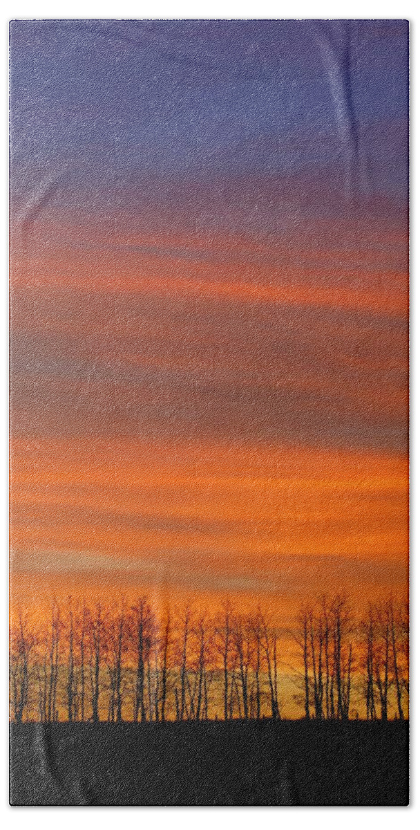 Hope Beach Towel featuring the photograph Silhouette Of Trees Against Sunset by Don Hammond