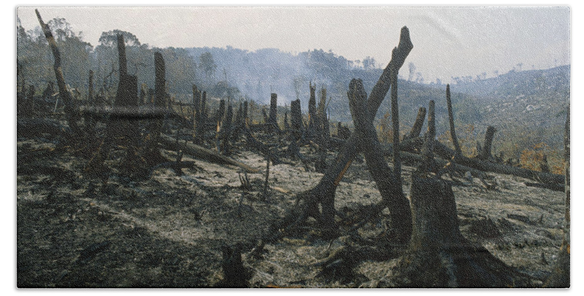 Mp Beach Towel featuring the photograph Slash And Burn Agriculture, Where by Konrad Wothe