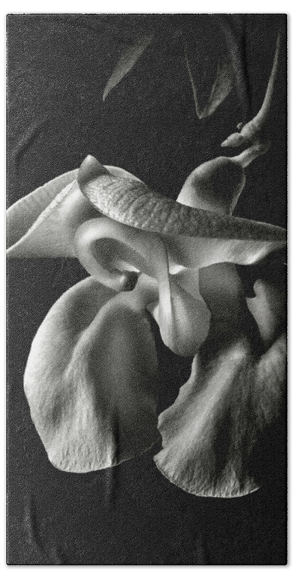 Flower Beach Towel featuring the photograph Snail Flower in Black and White by Endre Balogh