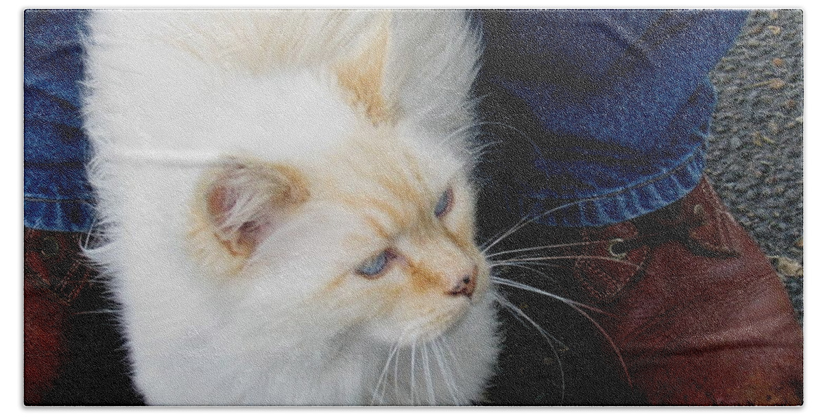Cats Beach Towel featuring the photograph Snowbell Making Friends by Rory Siegel