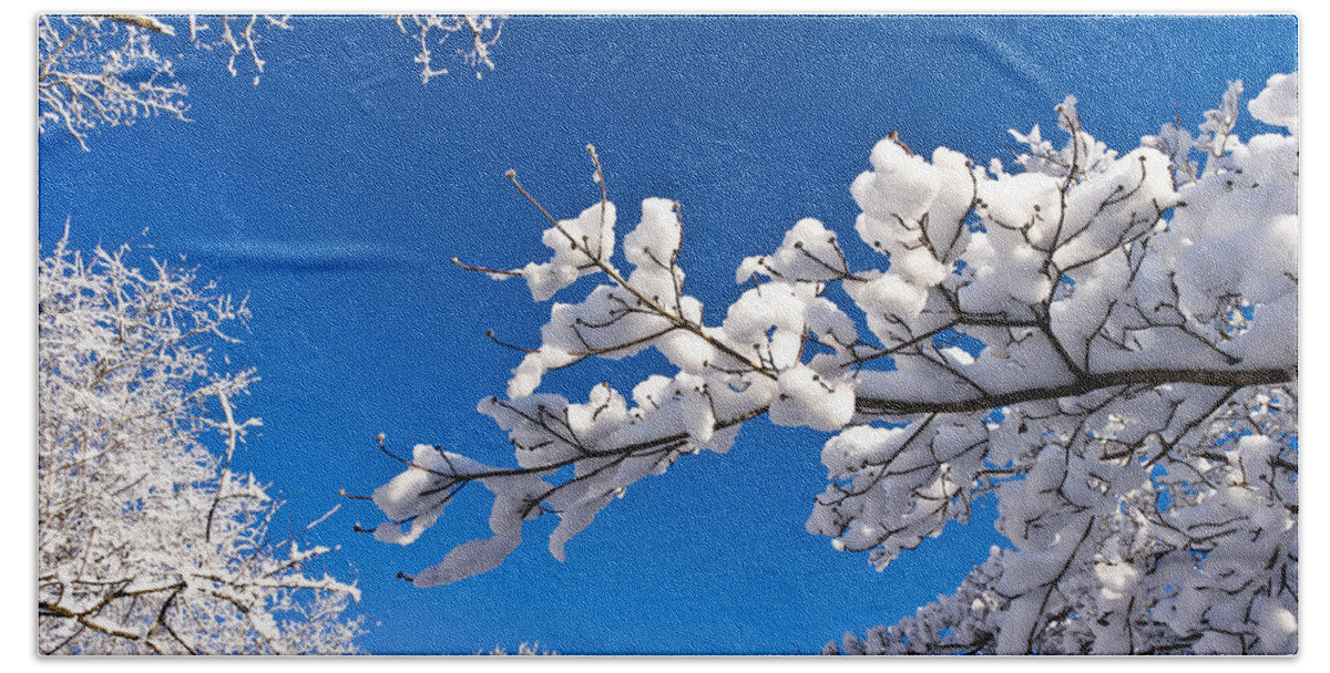 Cold Beach Sheet featuring the photograph Snowy Trees and Blue Sky by Lori Coleman