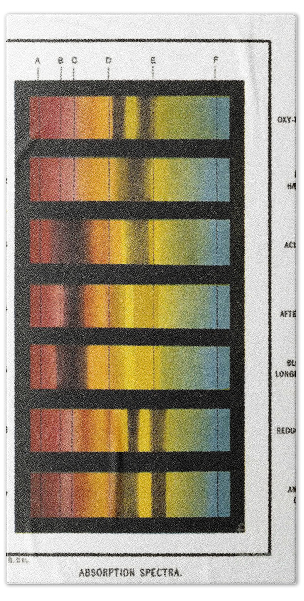 Science Beach Towel featuring the photograph Spectra Chart, Blood Samples, 1894 by Science Source