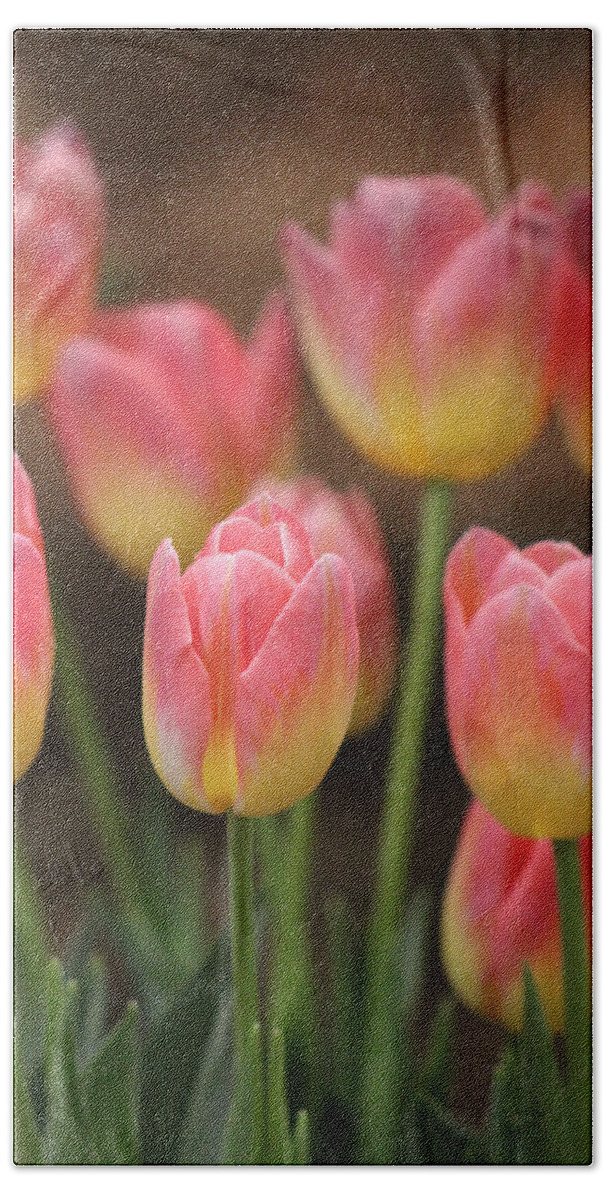 Spring Tulips Beach Towel featuring the photograph Spring Tulips by Linda Sannuti