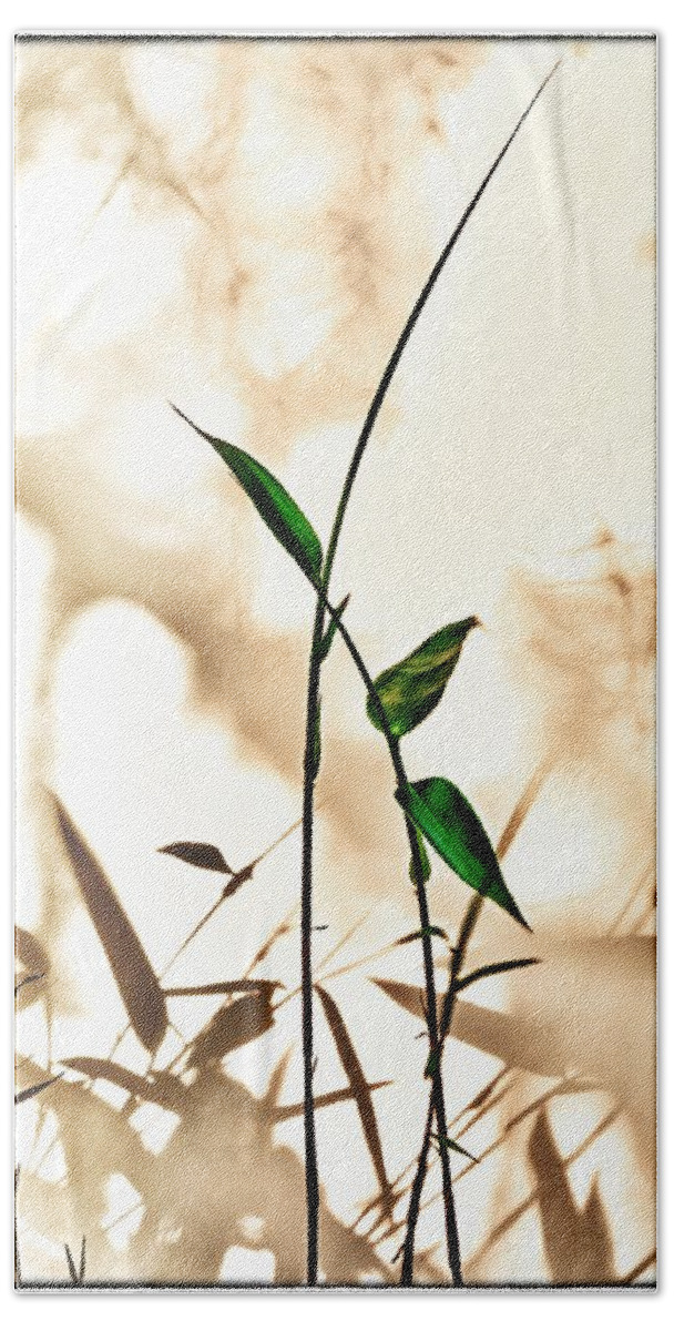 Bamboo Beach Towel featuring the photograph Springtime Zen 1 by Mark Fuller
