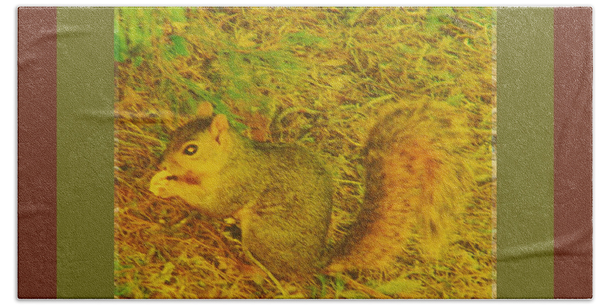 Abstract Beach Sheet featuring the photograph Squirrel under My Tree by Lenore Senior