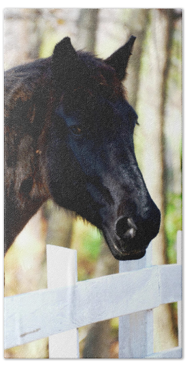 Horse Beach Towel featuring the photograph Stallion by La Dolce Vita