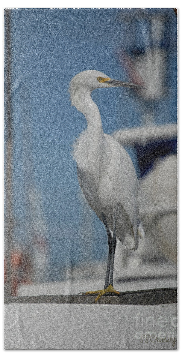 Great White Egret Beach Towel featuring the photograph Standing Tall by Susan Stevens Crosby