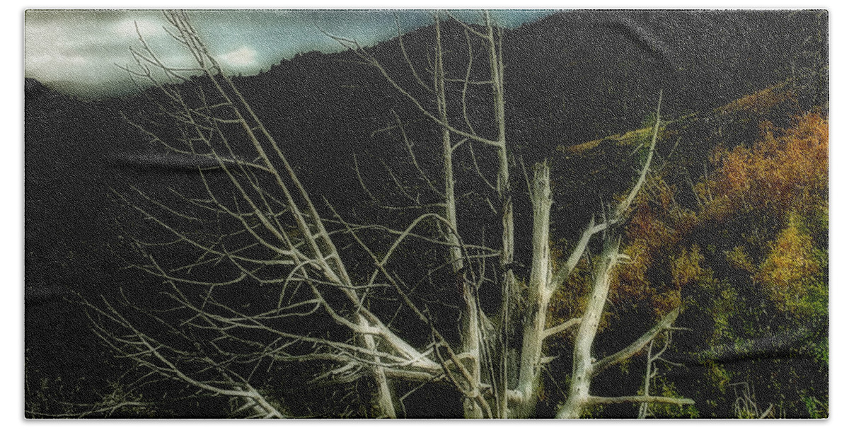 Dead Tree Beach Towel featuring the photograph Storm over the Jemez Mountains by Ellen Heaverlo