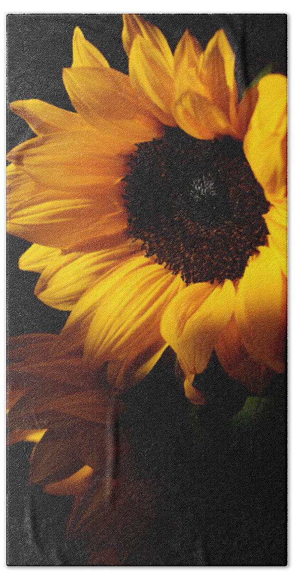 Sunflowers Beach Towel featuring the photograph Sunflowers by Dorothy Cunningham