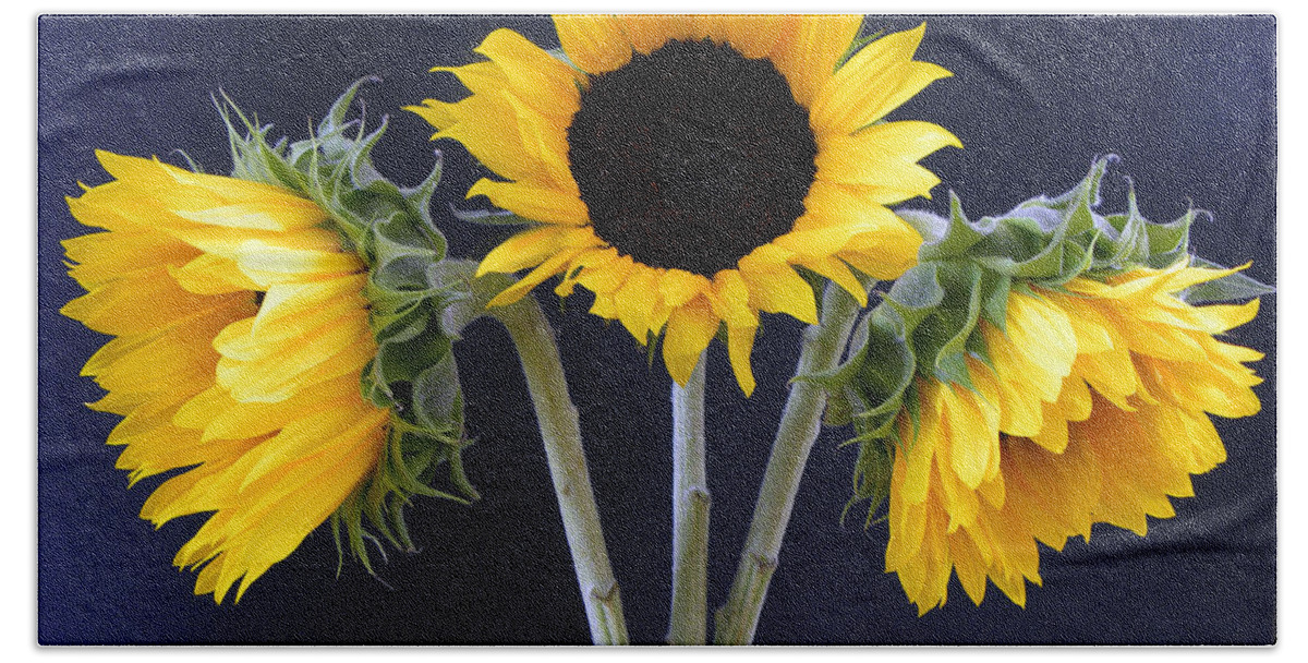 Sunflowers Beach Towel featuring the photograph Sunflowers Three by Sandi OReilly