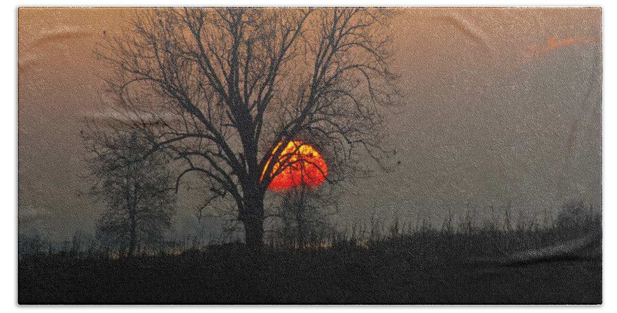 Nature Scenic Sun Sunrise Tree Oklahoma Sequoyah National Wildlife Refuge Beach Towel featuring the photograph Sunrise - 4810 by Jerry Owens