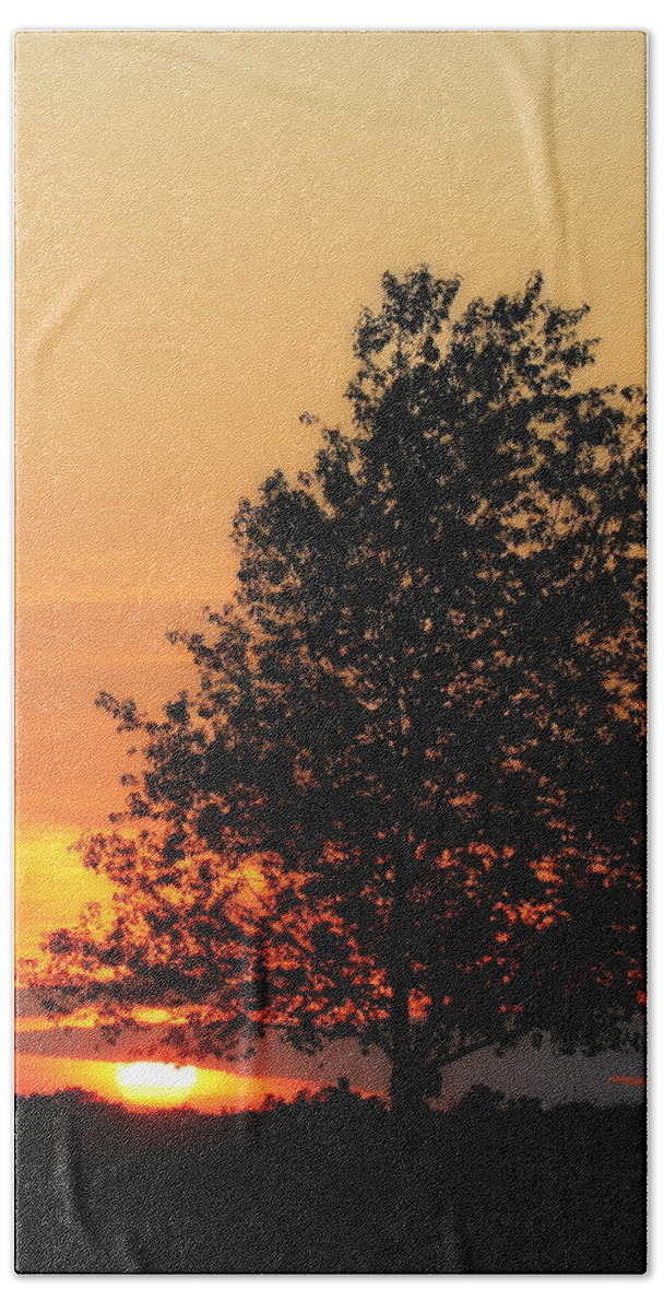 Biophilic Beach Sheet featuring the photograph Square Photograph of a Fiery Orange Sunset and Tree Silhouette by Angela Rath