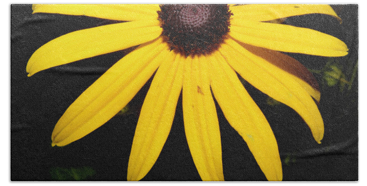 Flower Beach Towel featuring the photograph Suzy at night by Kim Galluzzo