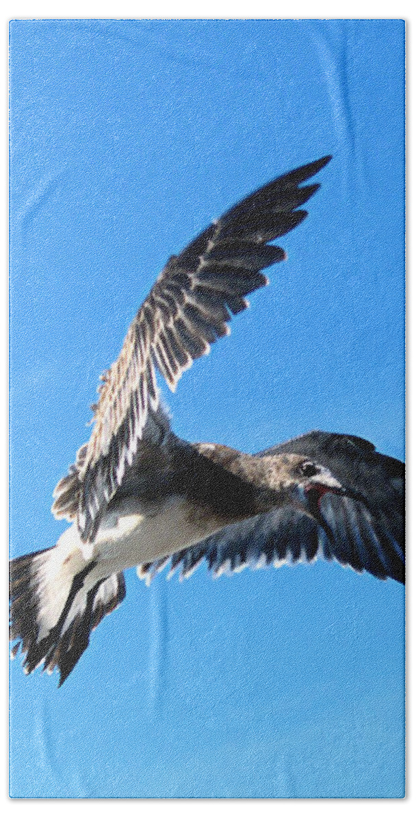 Fine Art Photography Beach Towel featuring the photograph Synchronized Flying by Patricia Griffin Brett