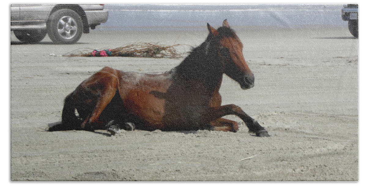 Wild Beach Towel featuring the photograph That Was Fun by Kim Galluzzo