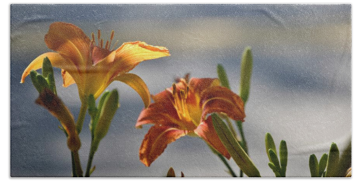  Flower Photos Beach Towel featuring the photograph Flower Day lilly by Marysue Ryan