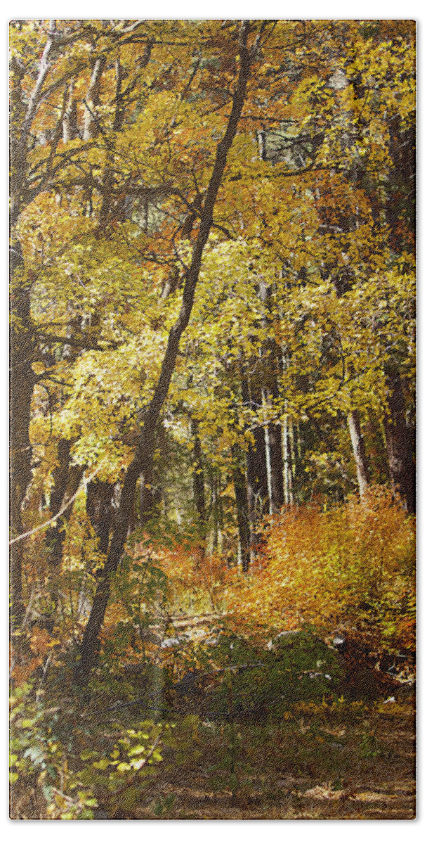 Forest Beach Towel featuring the photograph The Forest Beckons by Phyllis Denton