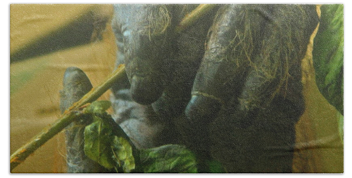 Orangutan Beach Sheet featuring the photograph The Hands by Laddie Halupa