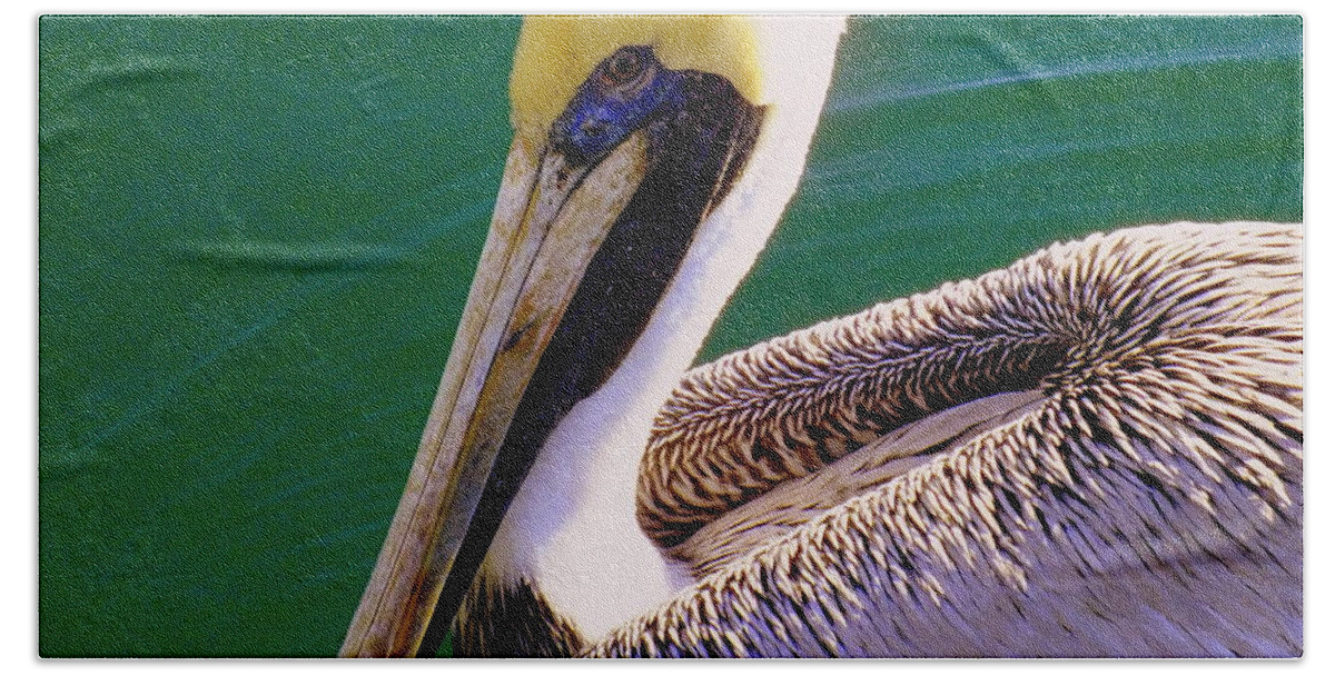 Pelicans Beach Towel featuring the photograph The Happy Pelican by Karen Wiles