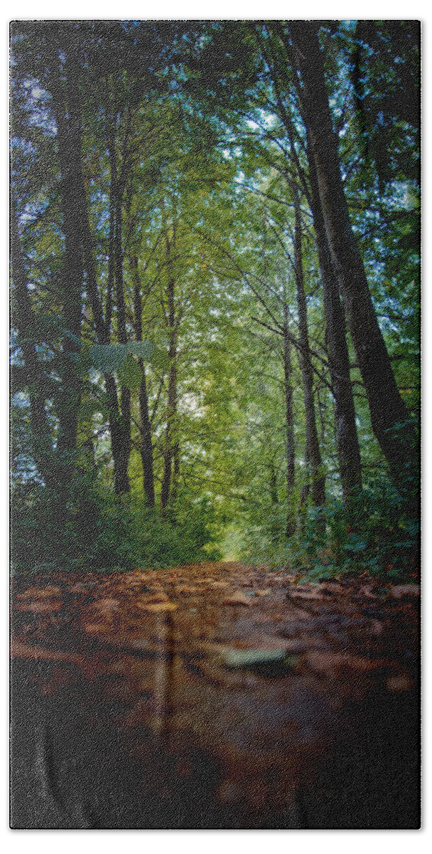 Alley Beach Towel featuring the photograph The pathway in the forest by Michael Goyberg