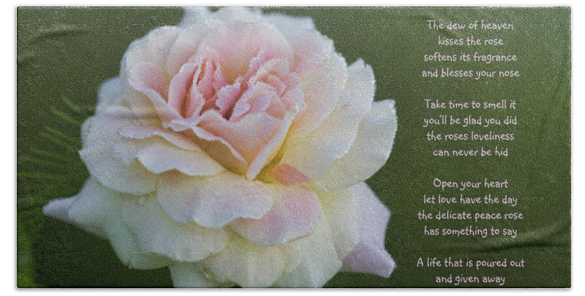 Peace Beach Sheet featuring the photograph The Peace Rose by Kathy Clark