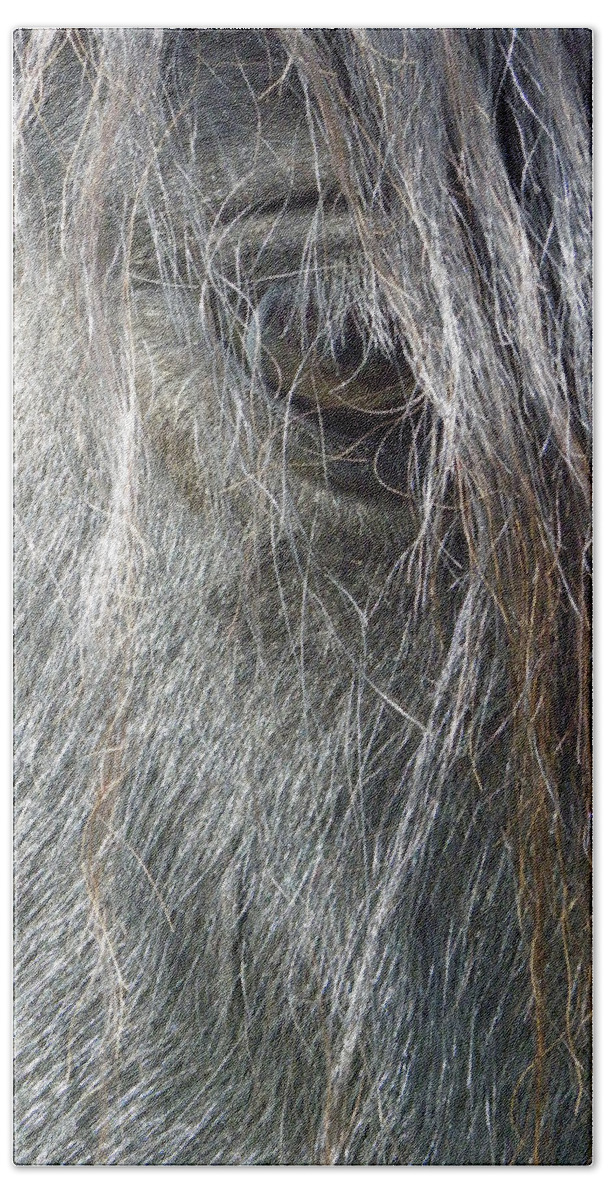 Horse Beach Towel featuring the photograph Through the Mane by Kim Galluzzo