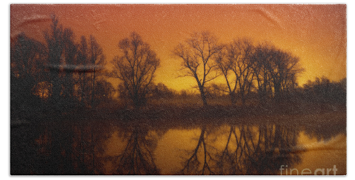 Trees Beach Towel featuring the photograph Trees reflected on a lake by Mats Silvan