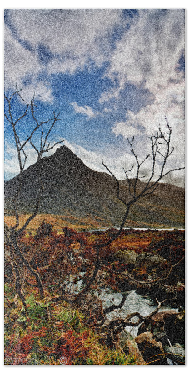 Tryfan Beach Towel featuring the photograph Tryfan and tree by B Cash