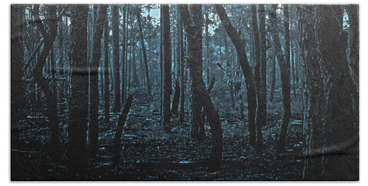 Forest Beach Towel featuring the photograph Twilight in the Smouldering Forest by DigiArt Diaries by Vicky B Fuller