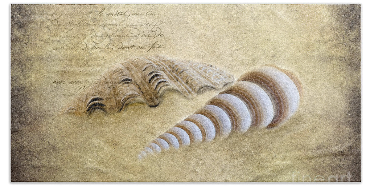 Seashell Beach Towel featuring the photograph Two Seashells by Betty LaRue