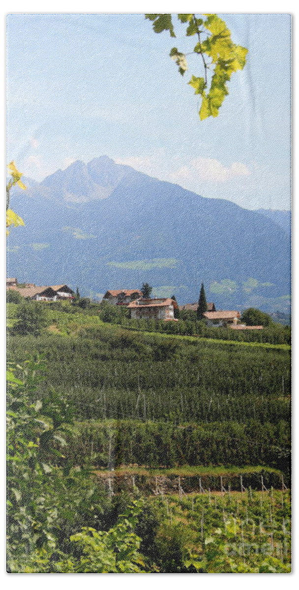 Tyrolean Alps Beach Towel featuring the photograph Tyrolean Alps And Vineyard by Christiane Schulze Art And Photography