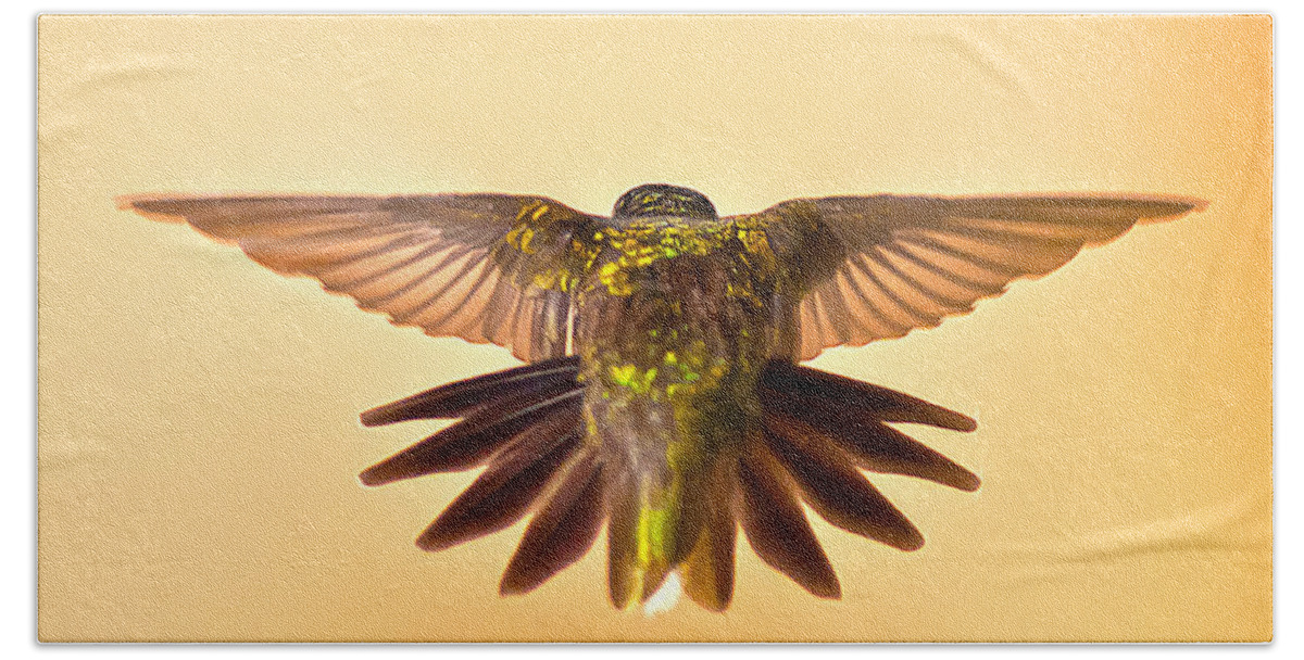 Wings Of Hummingbirds Beach Sheet featuring the photograph Usaf Hummingbirds Wings by Randall Branham