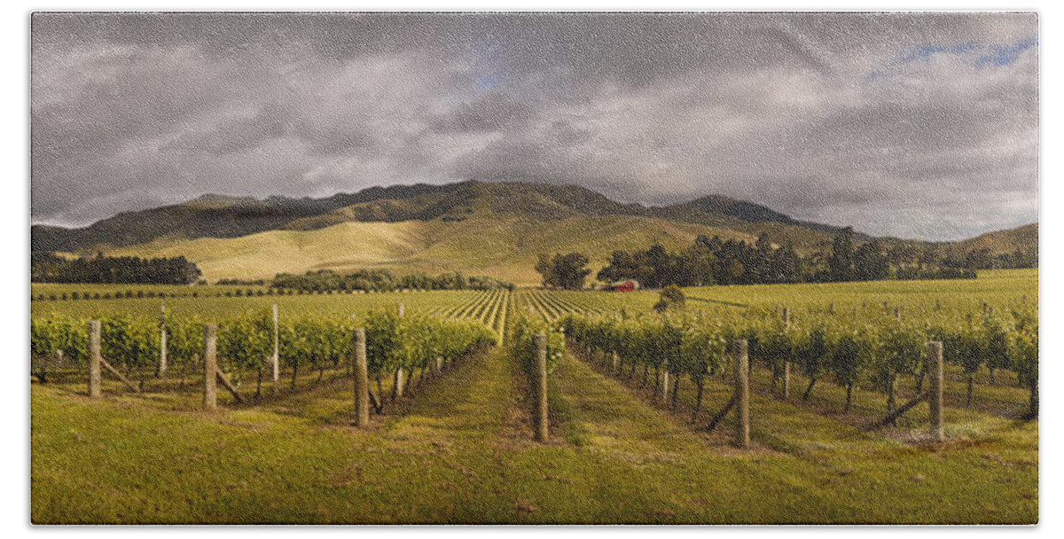 00479623 Beach Towel featuring the photograph Vineyard Awatere Valley In Marlborough by Colin Monteath