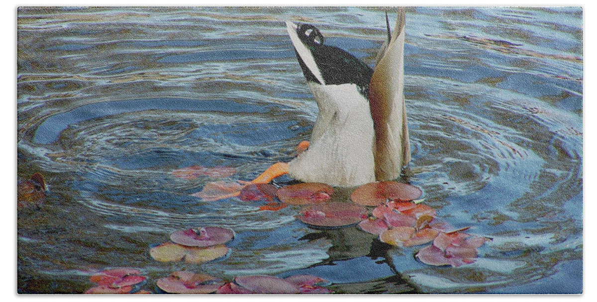 Duck Beach Sheet featuring the photograph Vulnerable Assets by S Paul Sahm