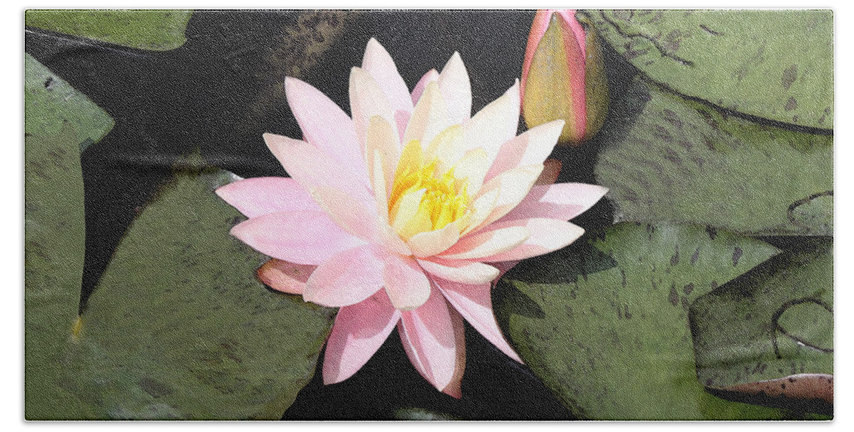 Pink Beach Towel featuring the photograph Water Lily by Milena Ilieva